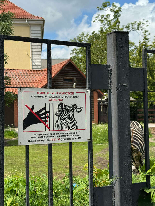 Гостиница Талион Империал Санкт-Петербург-162